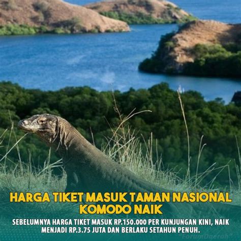 Harga Tiket Masuk Pulau Komodo Mencapai Rp Juta Risalahnegeriku