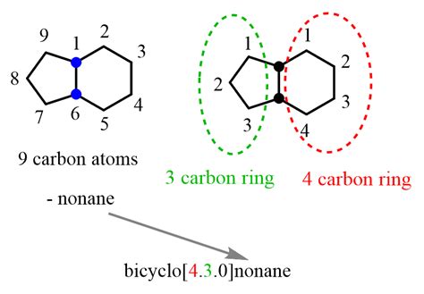 Nomenclatura Di Composti Biciclici Chimica Organica Distabif