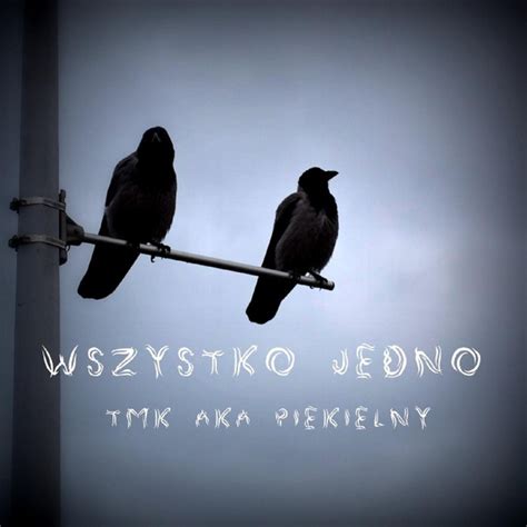 Wszystko Jedno Single By Tmk Aka Piekielny Spotify