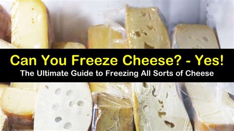 8 Different Cheeses You Can Freeze Successfully Cheese Freezing