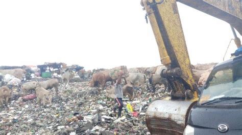 Pasca Libur Idulfitri 2021 Volume Sampah Di Bantul Meningkat 10 Ton