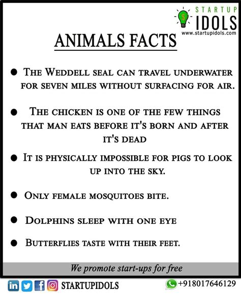 Some interesting facts about animals. #AnimalsFacts #InterestingFacts # ...