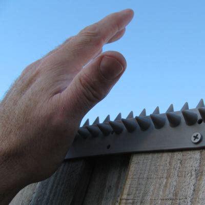 Anti Bird Spikes - Fence & Wall Spikes - L Section | BUY ONLINE