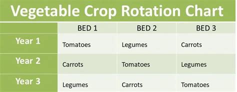 Crop Rotation Chart | Environment Buddy