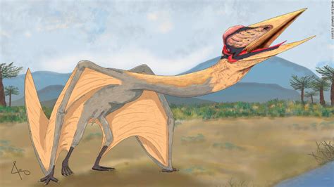 Dragon Of Death Pterosaur Is The Largest Pterosaur In South America Cnn