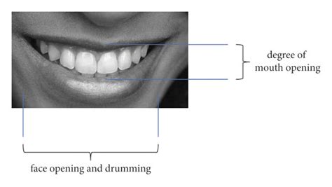 main parameters   mouthpiece  scientific diagram