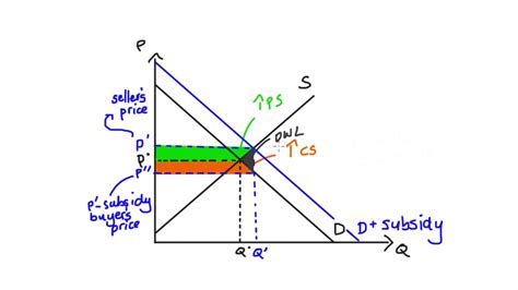 Subsidy Graph Producer Surplus