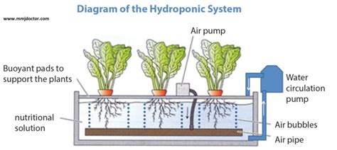 Vertical Farming The Mega Report