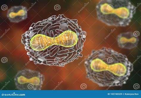 Variola virus illustration stock illustration. Illustration of ...