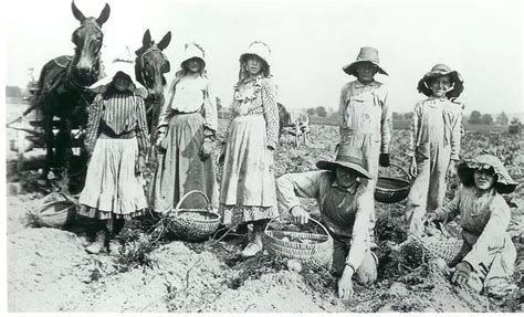 Children Working On A Farm With Adults Pioneer Families Pioneer Life