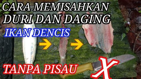 Cara Memisahkan Duri Dan Daging Ikan Dencis Tanpa Pakai Pisau Youtube