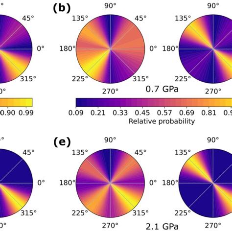 Polar Distribution Plots Of Ma And Lattice Order Parameters In The Bc