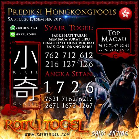 Berikut Prediksi Toogel Hari Ini Khusus Untuk Member Setia Ratutogel