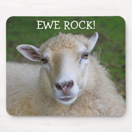 Funny Sheep Joke Mouse Pad Zazzle Funny Sheep Life Calendar Sheep