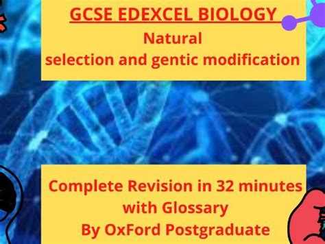 Gcse Edexcel Biology Natural Selection And Gentic Modification Complete Revision Summary