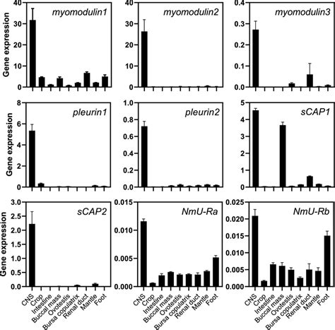 Expression Analysis Of The NmU PRXamide Peptide Encoding Genes And The