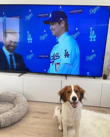 Shohei Ohtani’s Dog ‘Decoy’ Receives Joke Visa from U.S. Embassy in ...