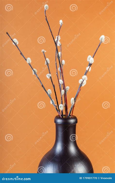 Flowering Pussy Willow Twigs In Ceramic Bottle Stock Photo Image Of