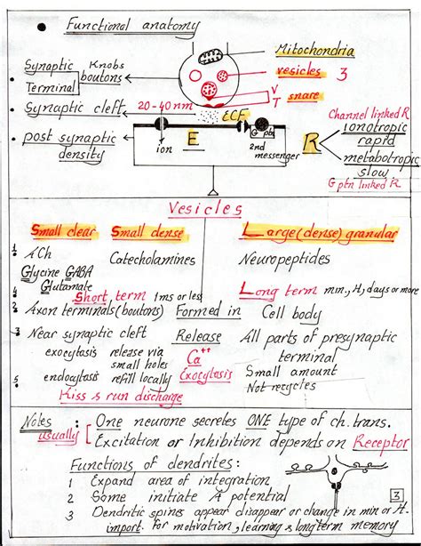 SOLUTION Cns Physiology Diagrams Dr Nagi Studypool