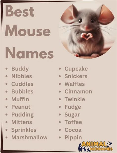 Top Cute Funny Mouse Names Best Ideas