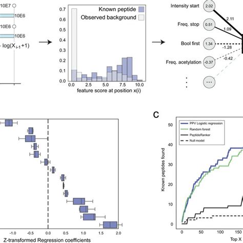 Computational Identification Of Potential Bioactive Peptides A Download Scientific Diagram