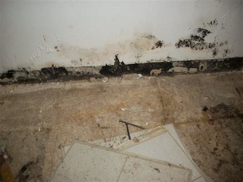 Photos Before And After Ters Building Restoration Experts Provide