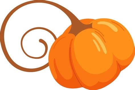 Premium Vector Pumpkin Vegetable Ripe