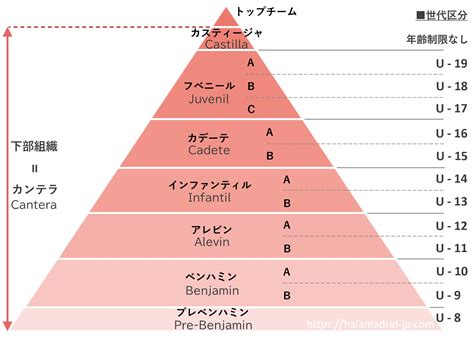 レアル・マドリードの下部組織を解説｜カンテラの組織図やユースチームの構成とは？ アラマドリー！