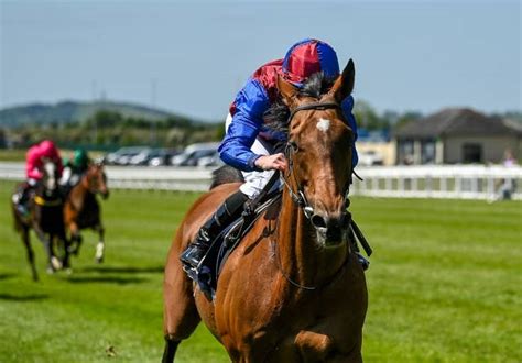 ルクセンブルクが英チャンピオンsを回避、コンティニュアスが代わりに出走か Jra Van World 海外競馬情報サイト