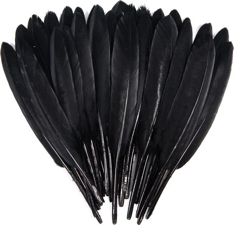 Amazon Feelfunfeather Pcs Black Goose Cochettes Feather Natural