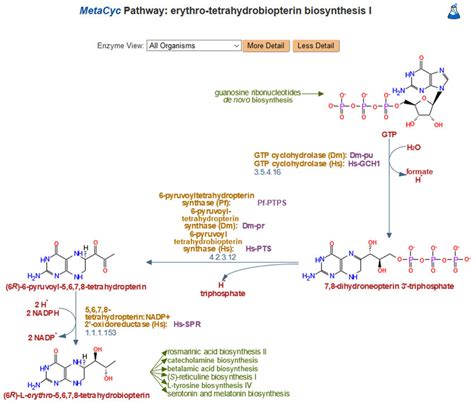 A Typical Metacyc Pathway A Short Pathway Was Selected For This Download Scientific Diagram