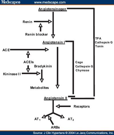 Clinical Experience With Angiotensin Receptor Blockers