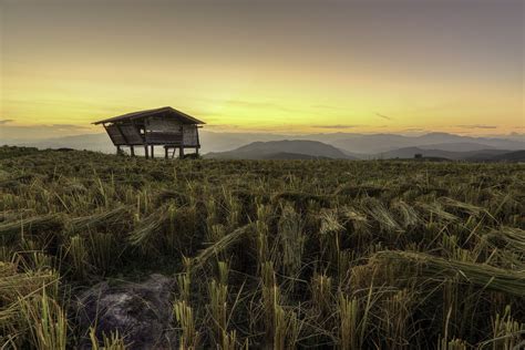 Free Images Landscape Coast Nature Outdoor Horizon Marsh