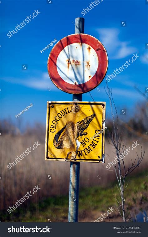 Crocodiles Warning Road Sign Swamp Stock Photo 2145142841 Shutterstock