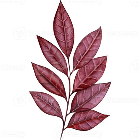 Watercolor Green Leaves Decoration 21379413 Png