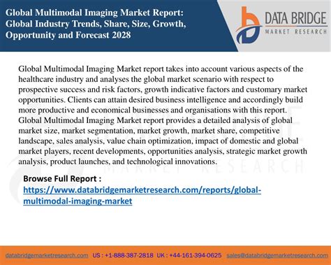 Ppt Global Multimodal Imaging Market Insight Business Opportunities