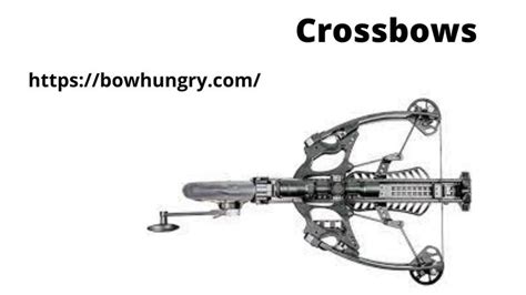 Fun facts about the ancient chinese crossbow | Fun facts, Facts ...