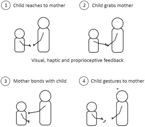 Dyadic Interaction Across Time During An Instance Of Ontogenetic