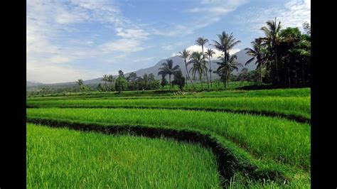 Kecapi Suling Sunda Musik Penenang Jiwa Youtube