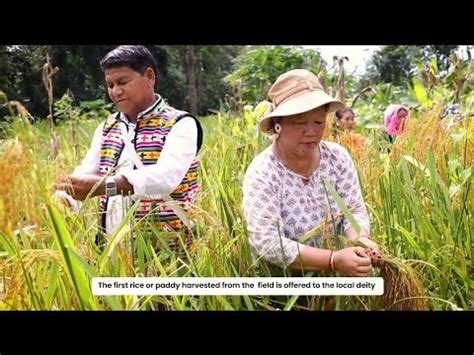 Short Documentary Video On Tradition Of Jhum Cultivation Among Idu