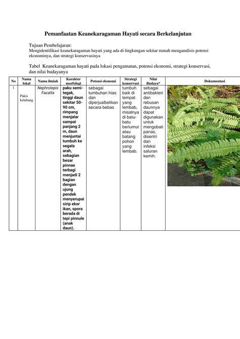 SOLUTION: Biologi Jenis Tumbuhan - Studypool