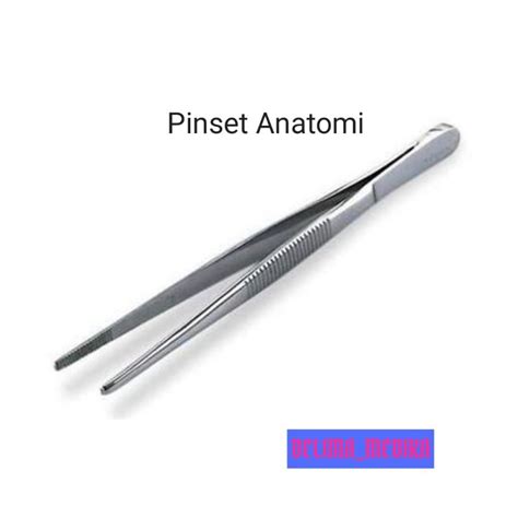 Jual Pinset Anatomi Cm Pinset Anatomis Cm Stainless Steel