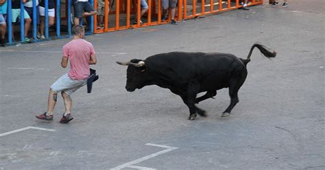 Espa A Muere Un Hombre Tras Ser Corneado Por Un Toro En Espect Culo