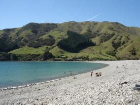 Cable Bay Photo Of Tasman Nelson New Zealand At Kiwiwise