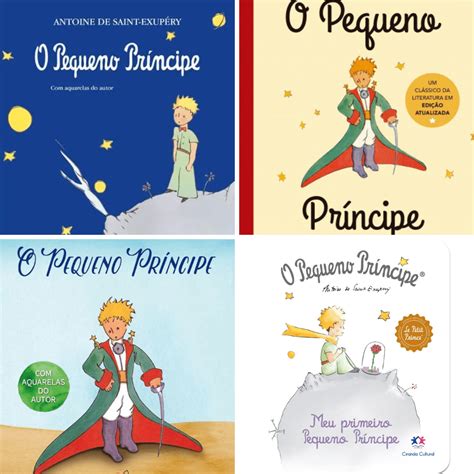 Pequeno Principe Livro Resumo