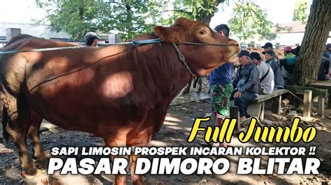 PASAR SAPI DIMORO BLITAR JAWA TIMUR SENTRAL PASAR SAPI TER BESAR