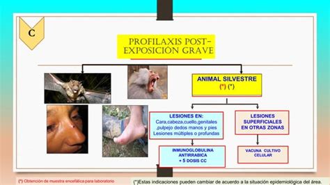 Profilaxis antirrábica humana 2017 PPT