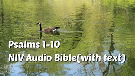 Psalms Niv Audio Bible With Text Youtube