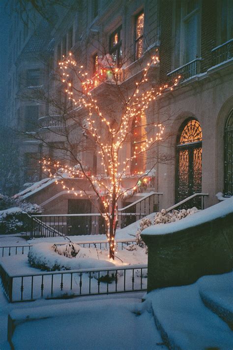 Outdoor Christmas Tree Pictures, Photos, and Images for Facebook ...