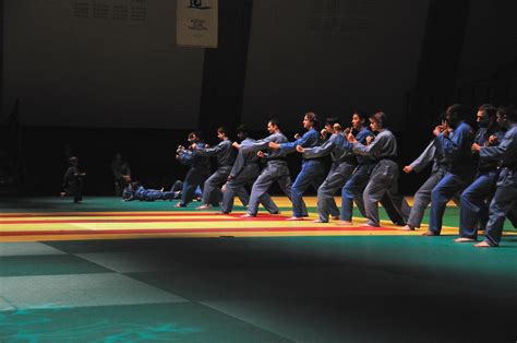 Photos Vid Os Tamvodao Net Vovinam Vi T Vo Dao Paris